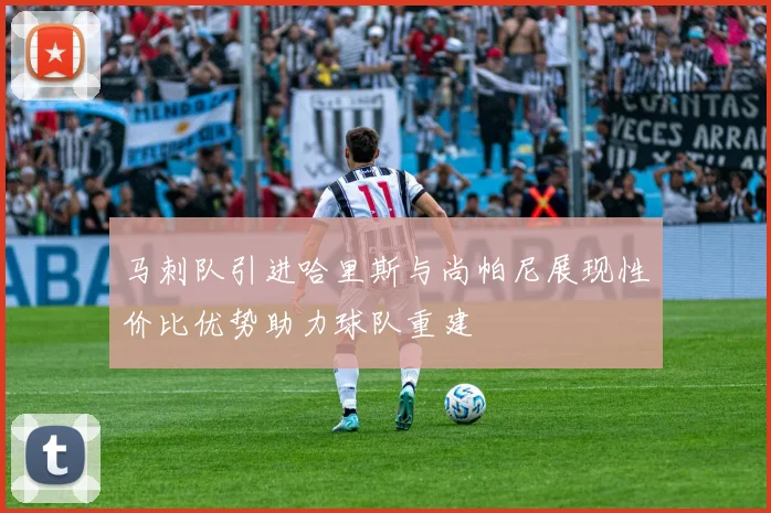 马刺队引进哈里斯与尚帕尼展现性价比优势助力球队重建
